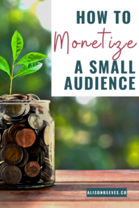 monetize small audience