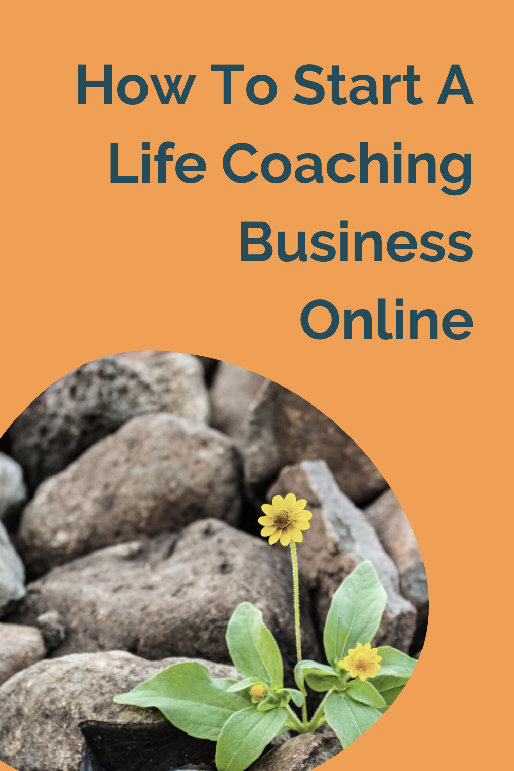 How To Start A Life Coaching Business Online