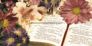 psalm 111 with flowers: angel number meaning 111